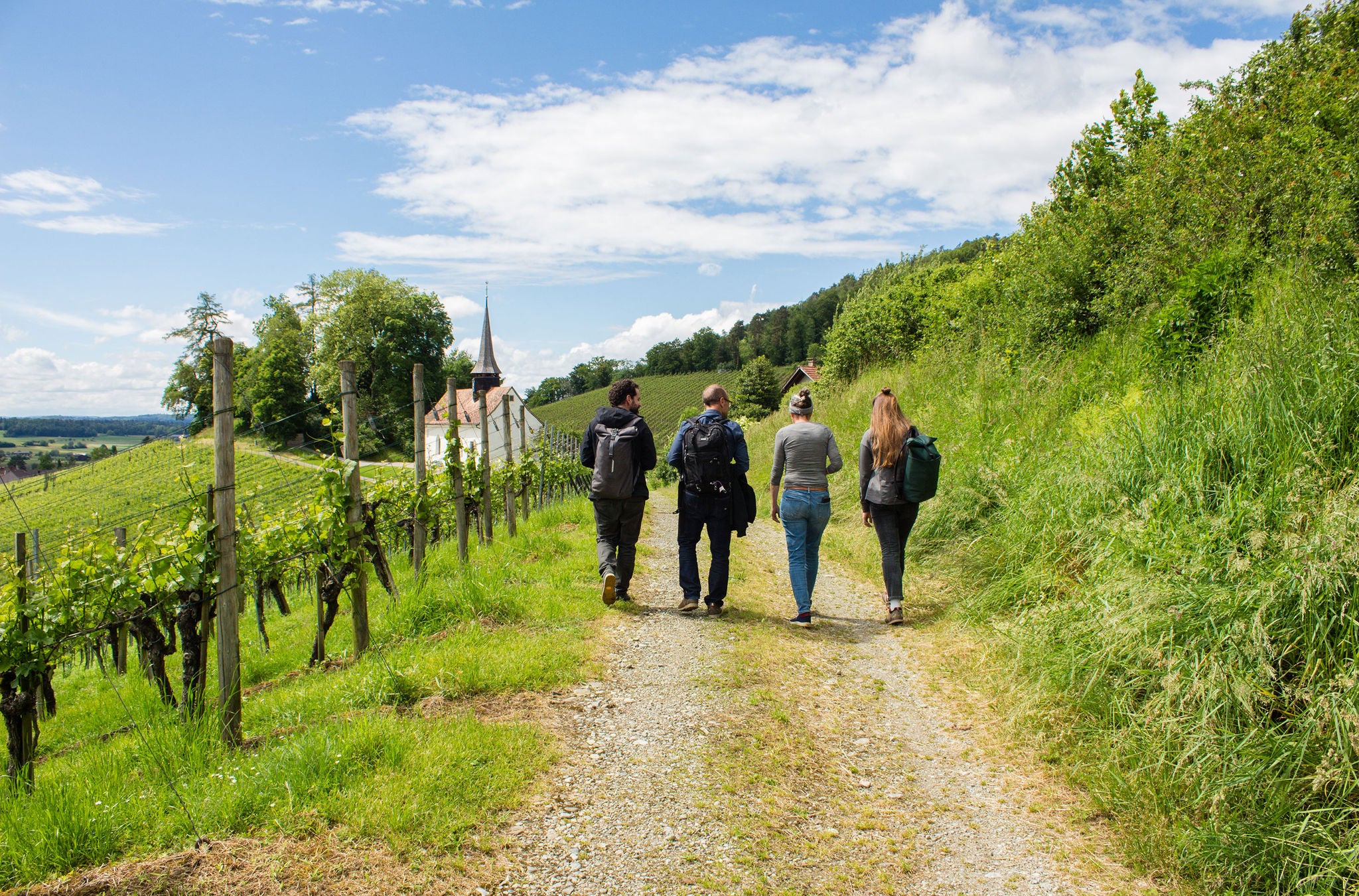 Unterwegs auf dem Weinwanderweg