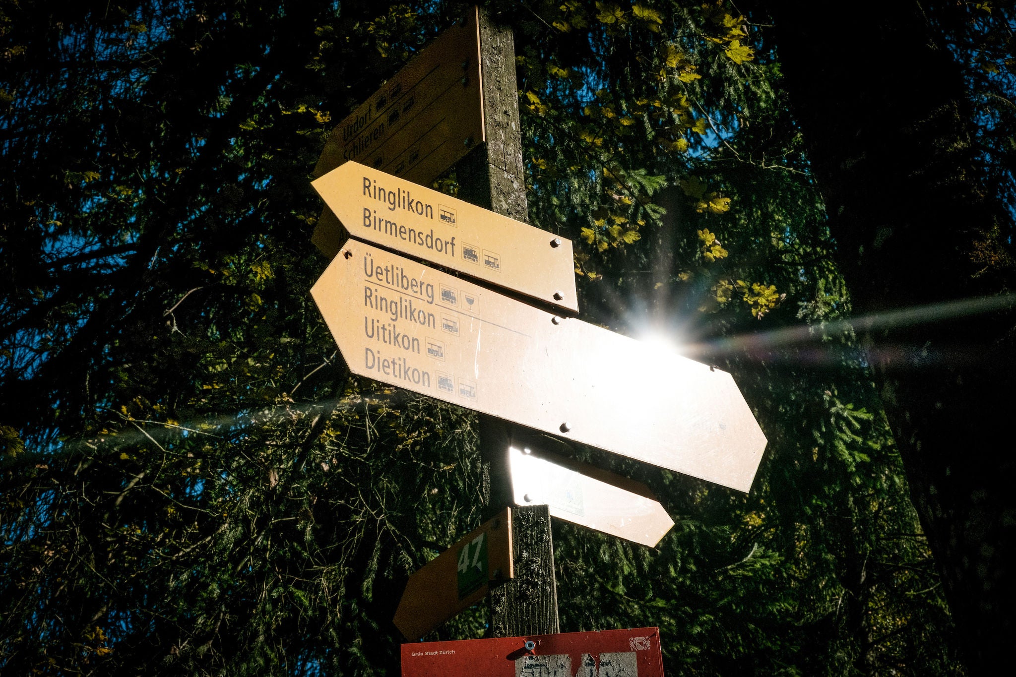 Uetliberg, Hochnebel, Wanderung, Herbst, SZU