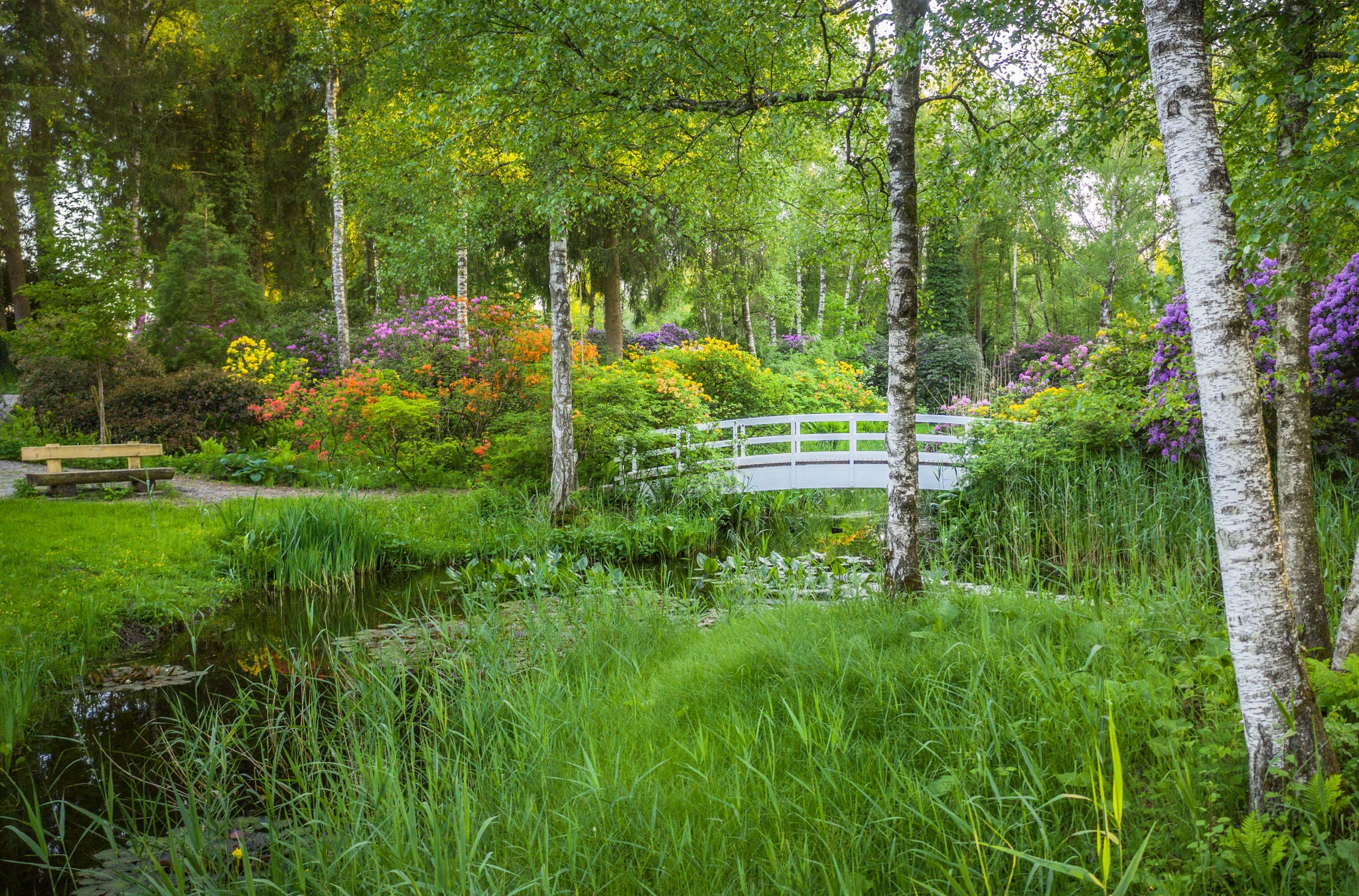 Blick auf den Park im Seleger Moor